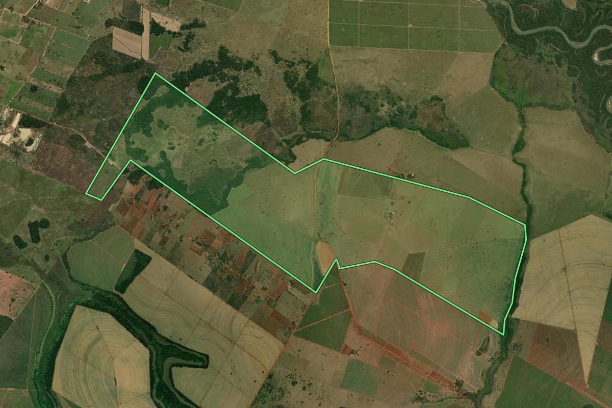 Imagem de satélite do imóvel rural em Paulicéia (SP), com o contorno declarado no CAR desenhado por cima.