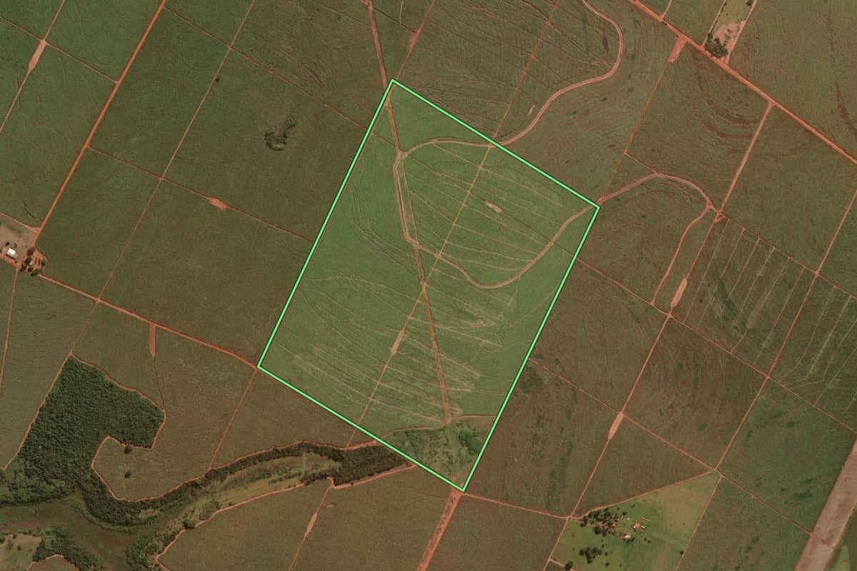 Imagem de satélite do imóvel rural em Paulicéia (SP), com o contorno declarado no CAR desenhado por cima.