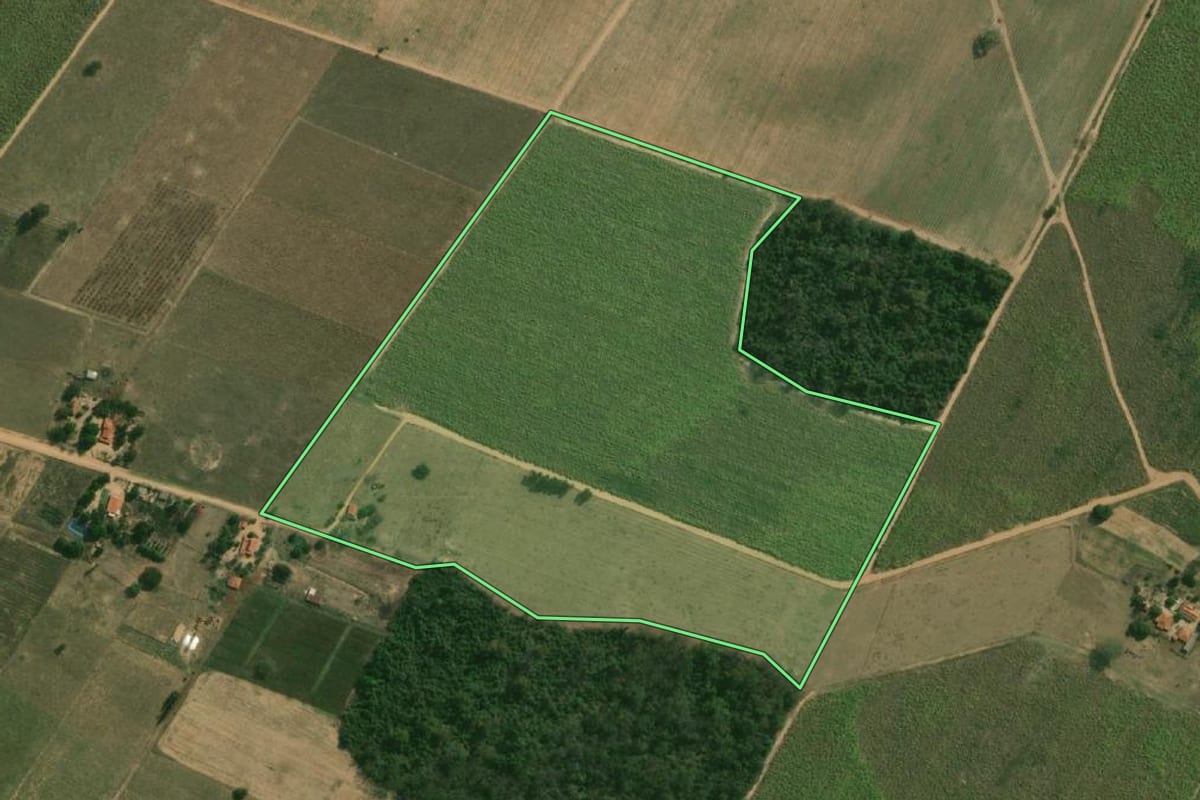 Imagem de satélite do imóvel rural em Paulicéia (SP), com o contorno declarado no CAR desenhado por cima.