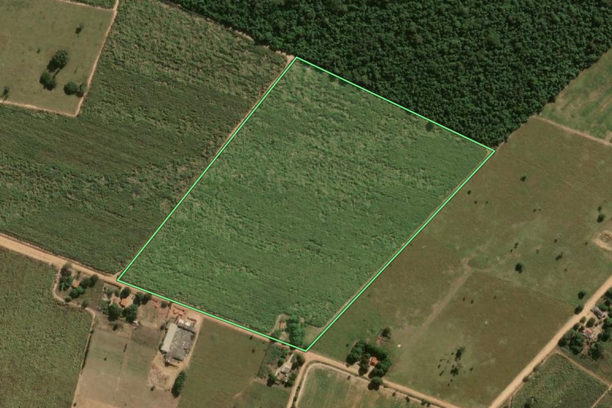 Imagem de satélite do imóvel rural em Paulicéia (SP), com o contorno declarado no CAR desenhado por cima.