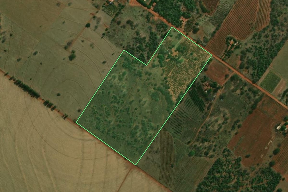 Imagem de satélite do imóvel rural em Paulicéia (SP), com o contorno declarado no CAR desenhado por cima.