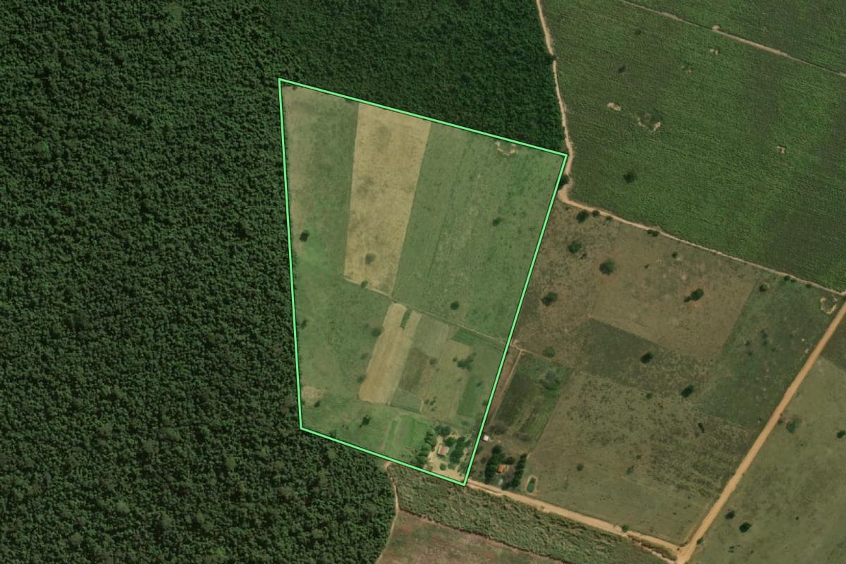 Imagem de satélite do imóvel rural em Paulicéia (SP), com o contorno declarado no CAR desenhado por cima.