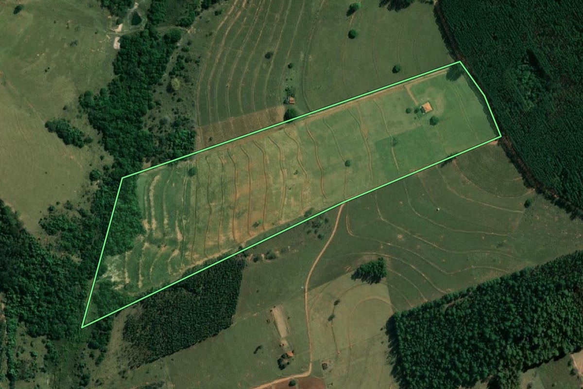 Imagem de satélite do imóvel rural em Paulistânia (SP), com o contorno declarado no CAR desenhado por cima.