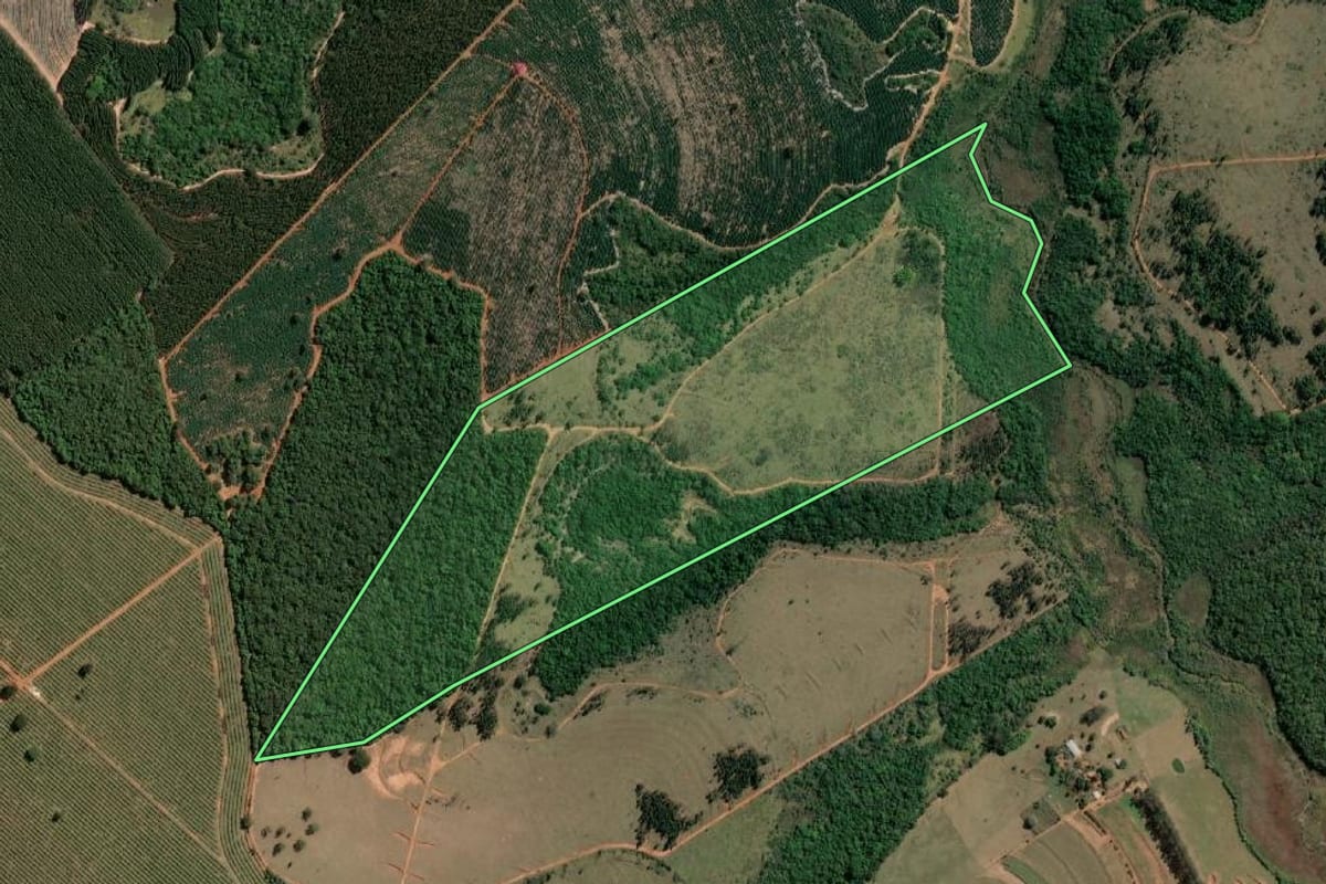 Imagem de satélite do imóvel rural em Paulistânia (SP), com o contorno declarado no CAR desenhado por cima.