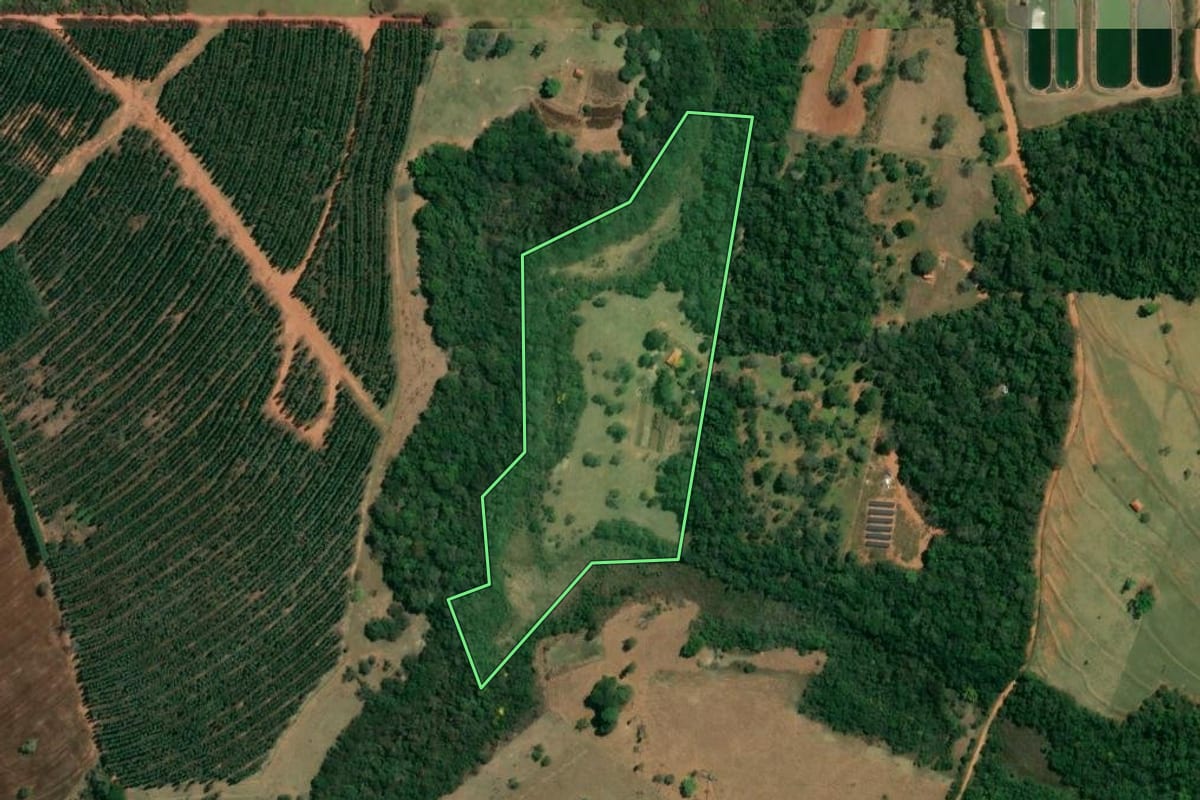 Imagem de satélite do imóvel rural em Paulistânia (SP), com o contorno declarado no CAR desenhado por cima.