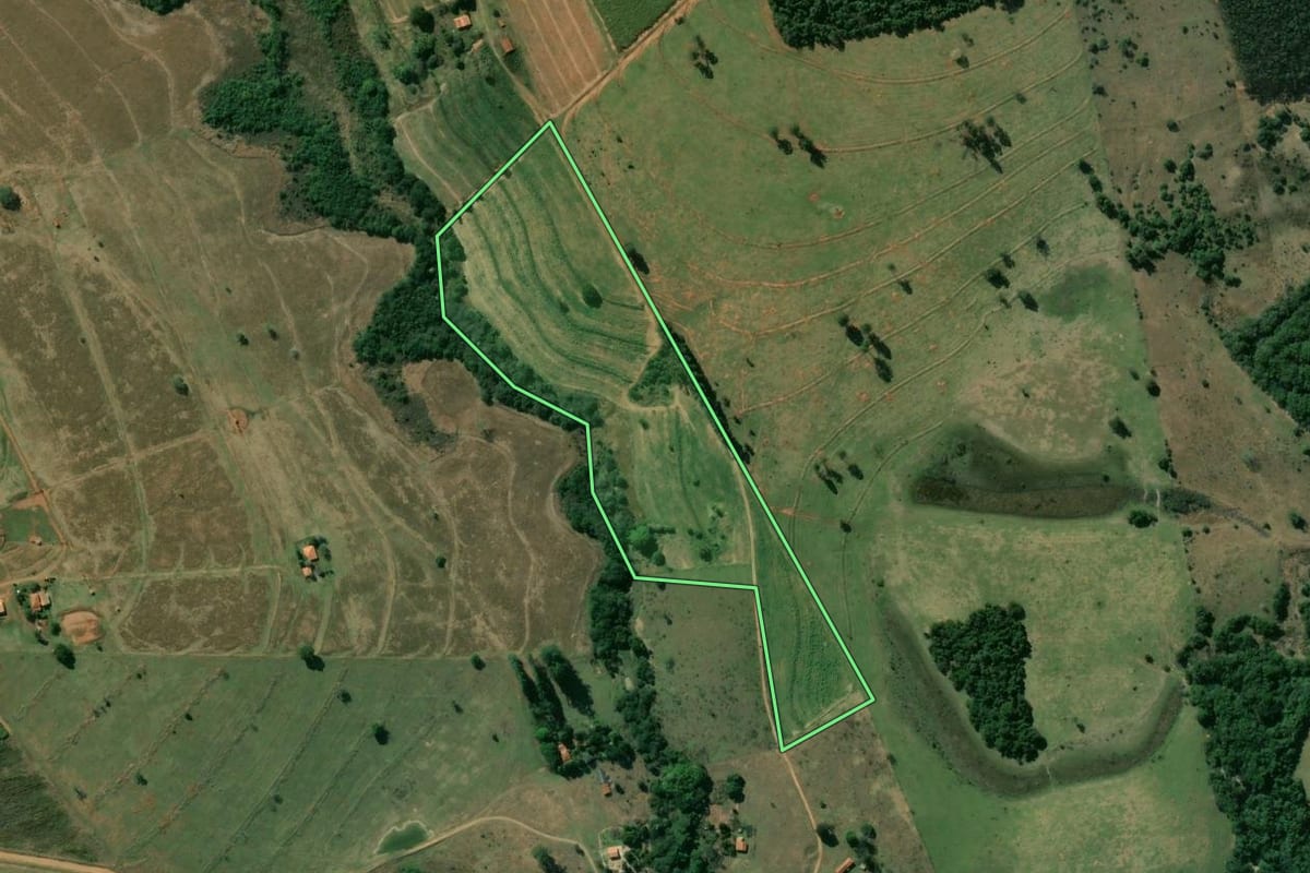 Imagem de satélite do imóvel rural em Paulistânia (SP), com o contorno declarado no CAR desenhado por cima.