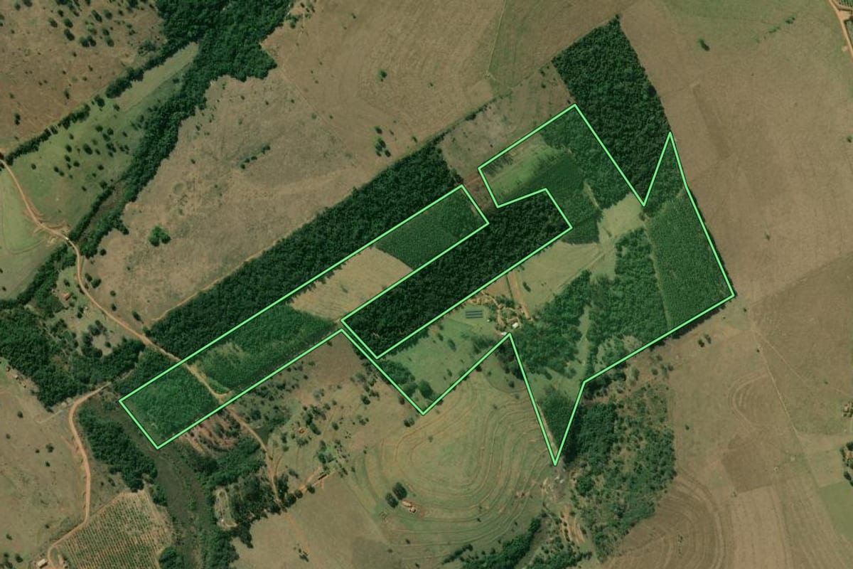 Imagem de satélite do imóvel rural em Paulistânia (SP), com o contorno declarado no CAR desenhado por cima.