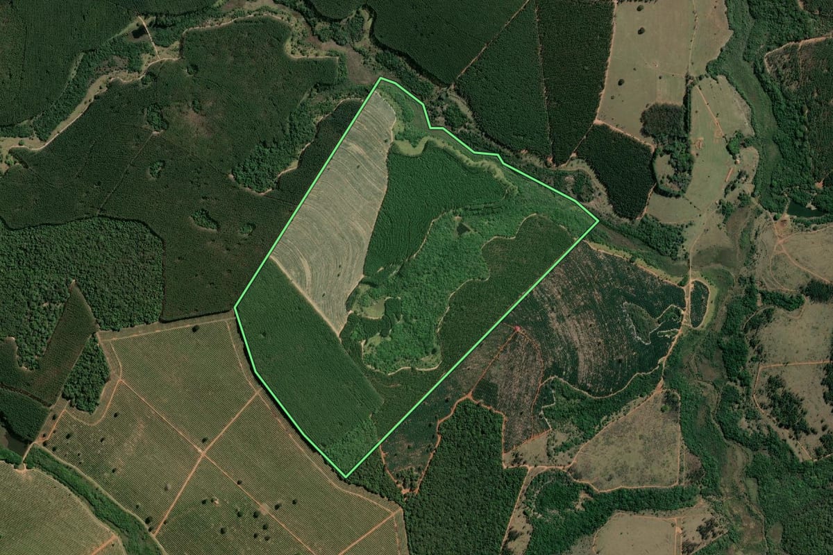 Imagem de satélite do imóvel rural em Paulistânia (SP), com o contorno declarado no CAR desenhado por cima.