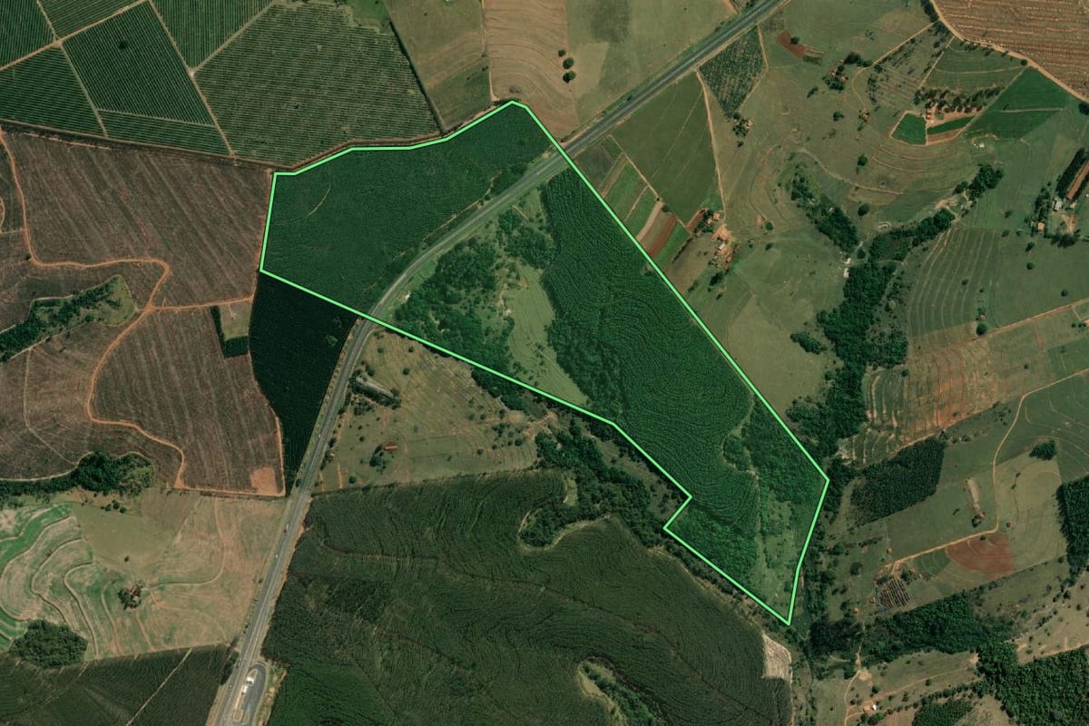 Imagem de satélite do imóvel rural em Paulistânia (SP), com o contorno declarado no CAR desenhado por cima.