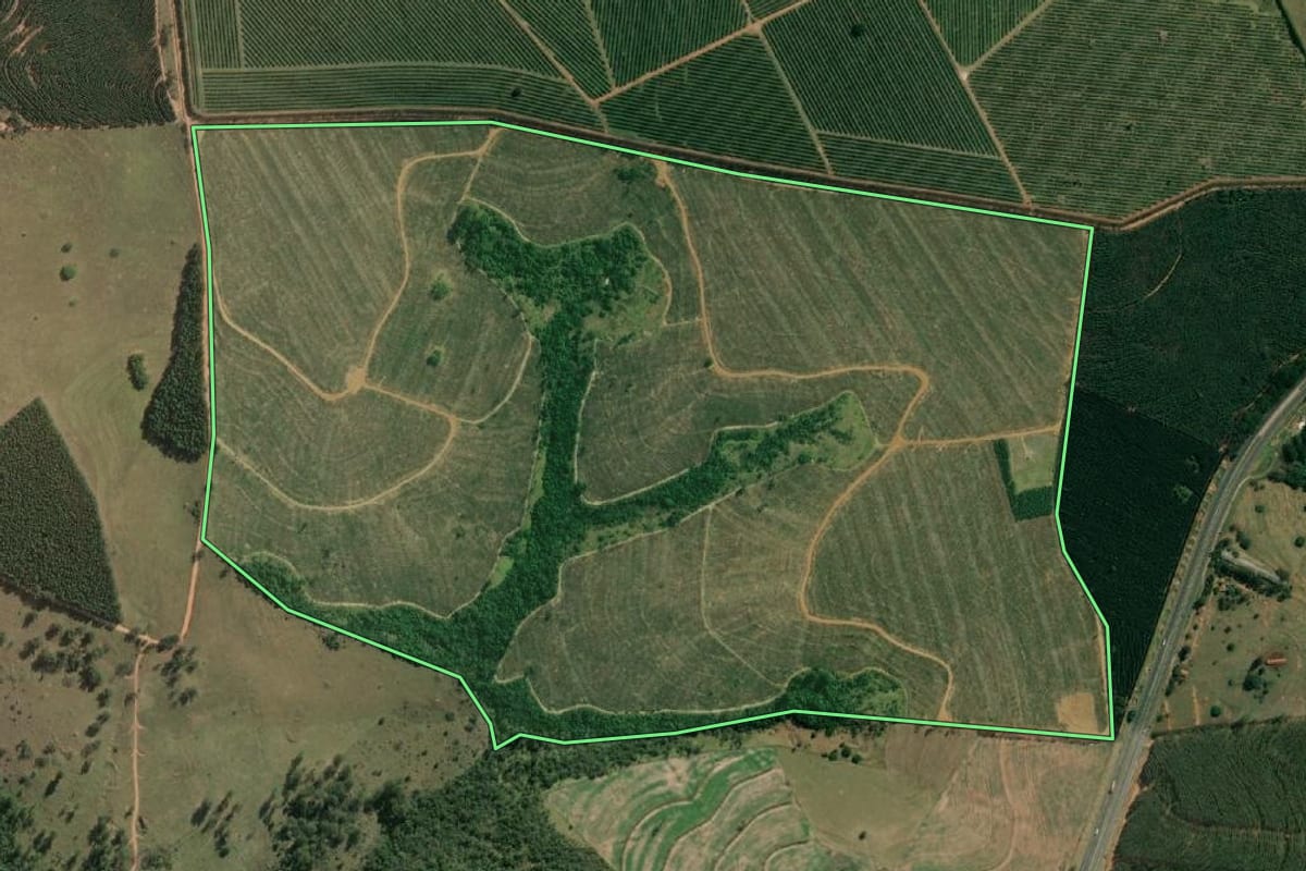 Imagem de satélite do imóvel rural em Paulistânia (SP), com o contorno declarado no CAR desenhado por cima.