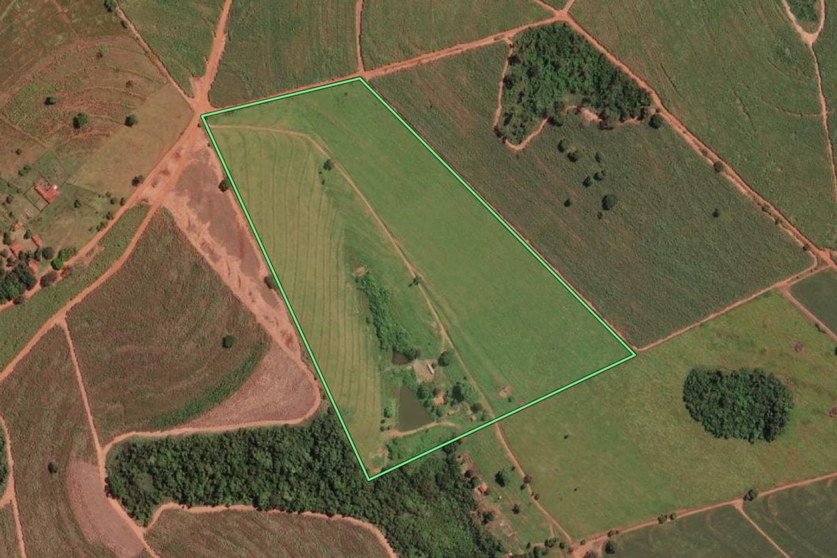 Imagem de satélite do imóvel rural em Paulo de Faria (SP), com o contorno declarado no CAR desenhado por cima.