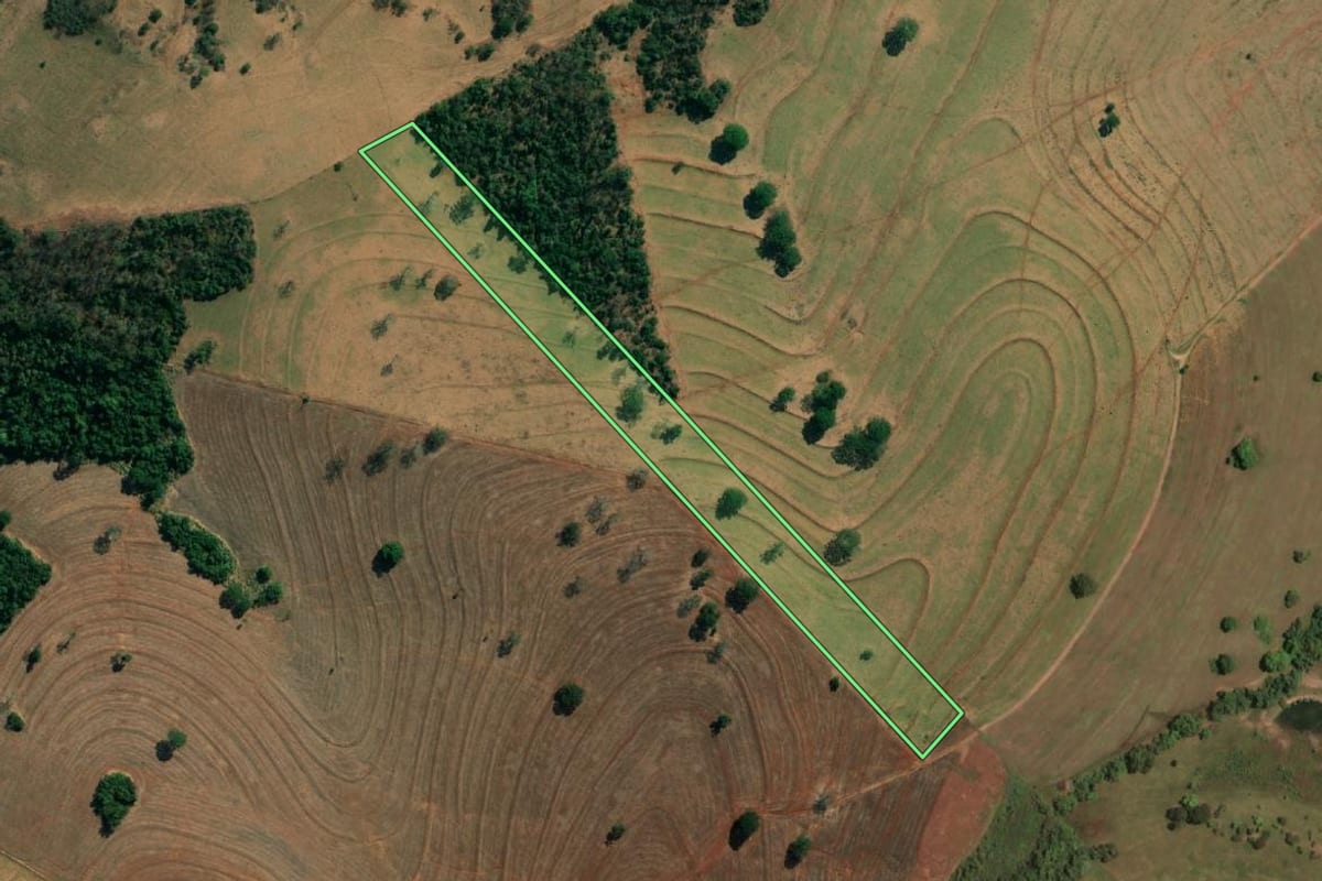 Imagem de satélite do imóvel rural em Paulo de Faria (SP), com o contorno declarado no CAR desenhado por cima.