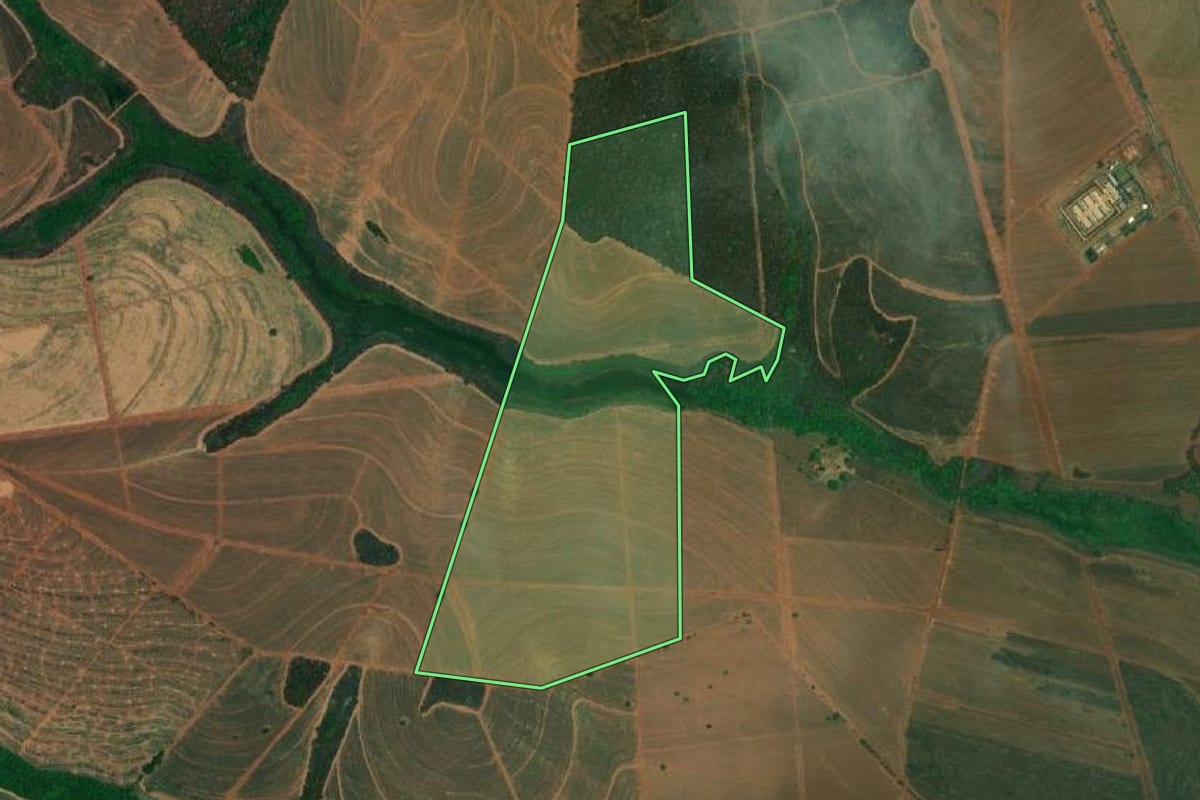 Imagem de satélite do imóvel rural em Paulo de Faria (SP), com o contorno declarado no CAR desenhado por cima.
