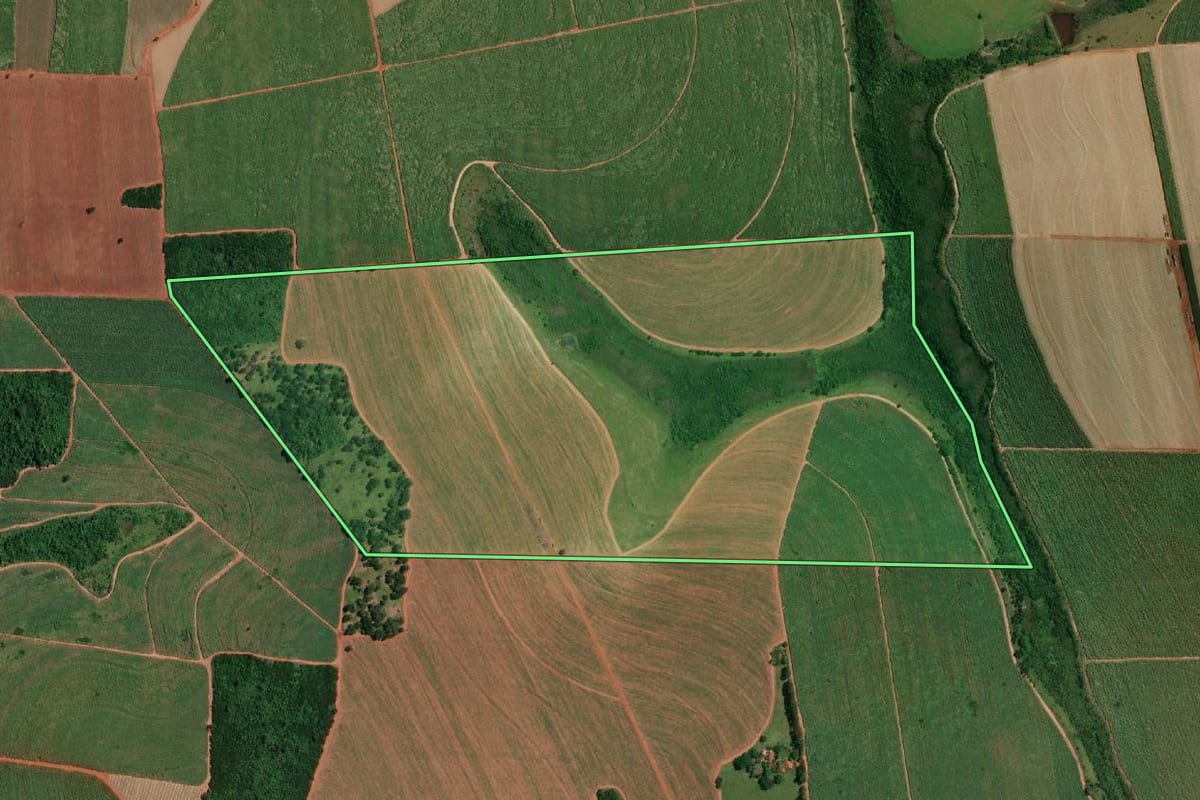 Imagem de satélite do imóvel rural em Paulo de Faria (SP), com o contorno declarado no CAR desenhado por cima.