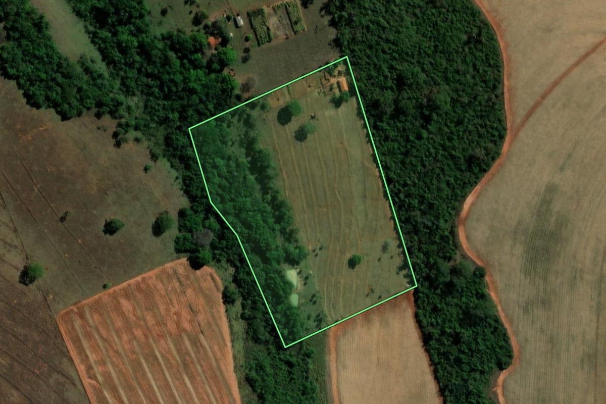 Imagem de satélite do imóvel rural em Paulo de Faria (SP), com o contorno declarado no CAR desenhado por cima.