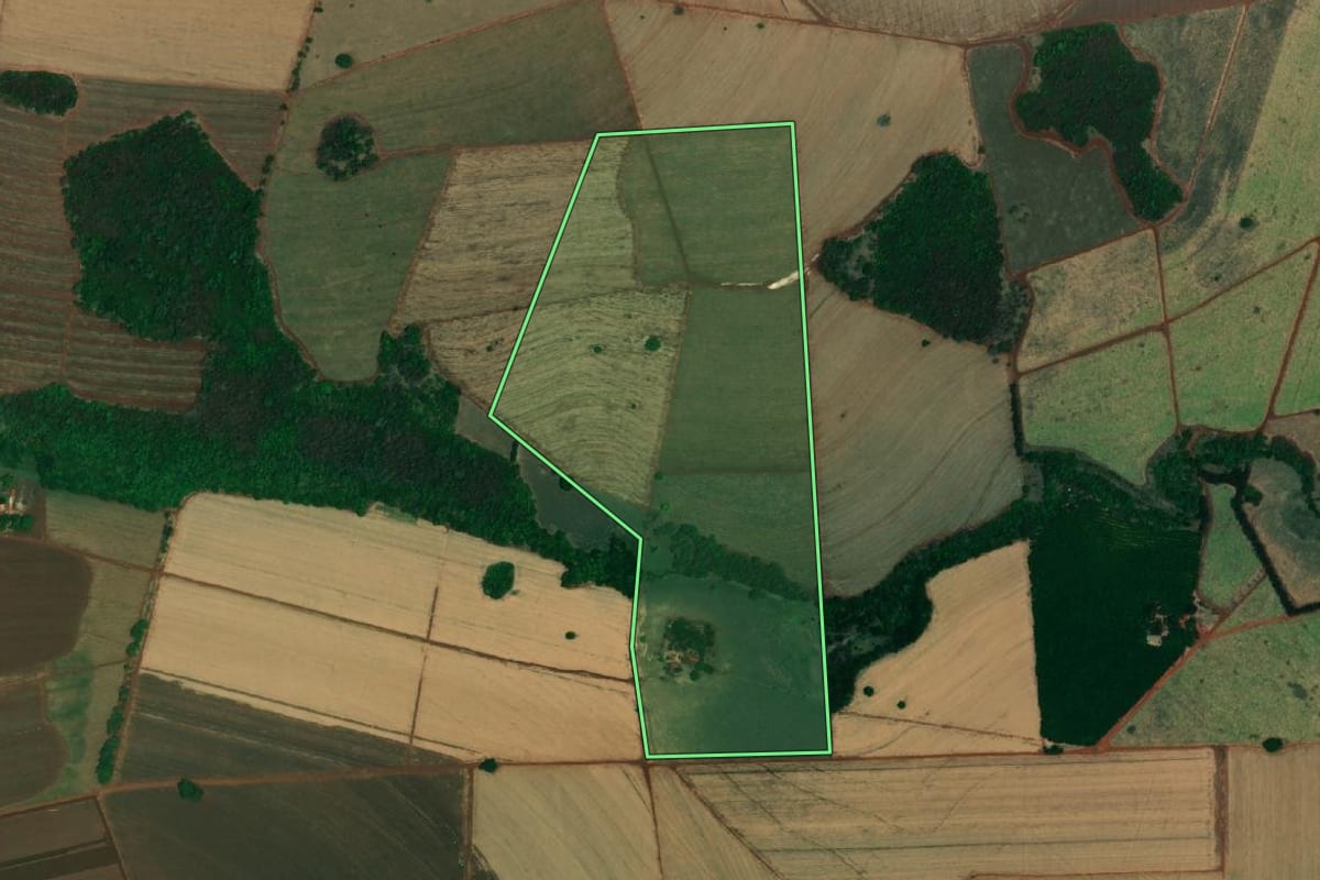 Imagem de satélite do imóvel rural em Paulo de Faria (SP), com o contorno declarado no CAR desenhado por cima.