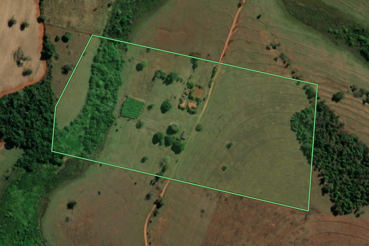 Imagem de satélite do imóvel rural em Paulo de Faria (SP), com o contorno declarado no CAR desenhado por cima.