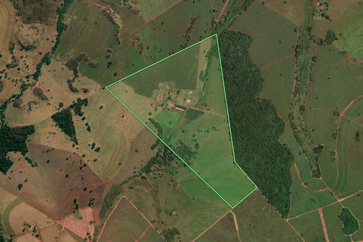 Imagem de satélite do imóvel rural em Paulo de Faria (SP), com o contorno declarado no CAR desenhado por cima.