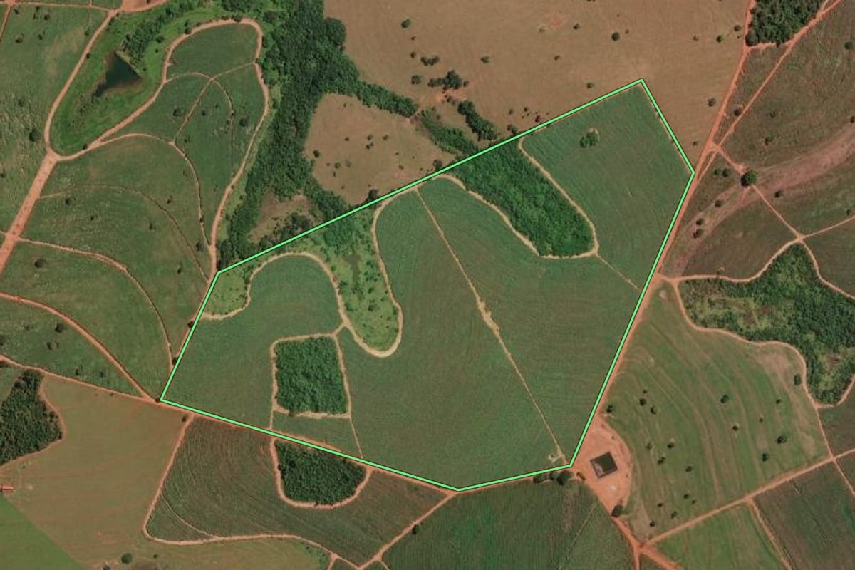 Imagem de satélite do imóvel rural em Paulo de Faria (SP), com o contorno declarado no CAR desenhado por cima.