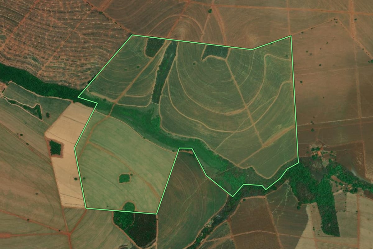 Imagem de satélite do imóvel rural em Paulo de Faria (SP), com o contorno declarado no CAR desenhado por cima.