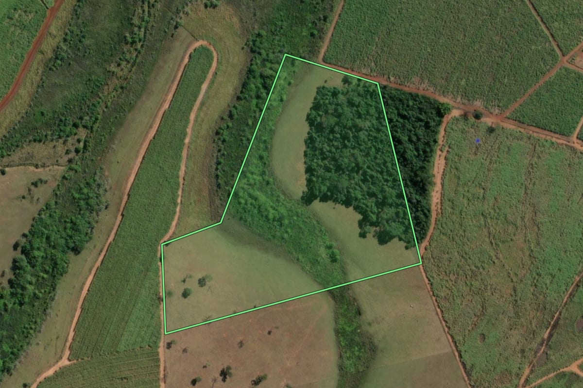 Imagem de satélite do imóvel rural em Paulo de Faria (SP), com o contorno declarado no CAR desenhado por cima.