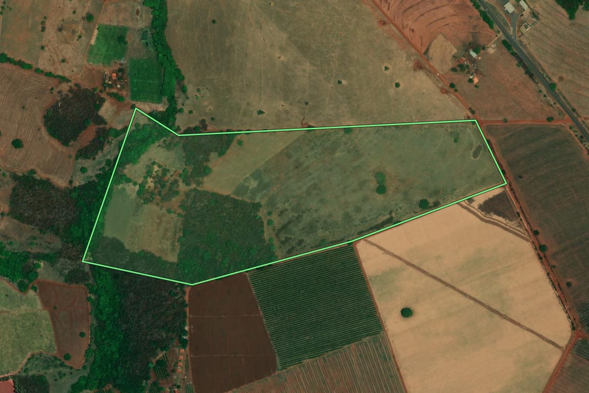 Imagem de satélite do imóvel rural em Paulo de Faria (SP), com o contorno declarado no CAR desenhado por cima.