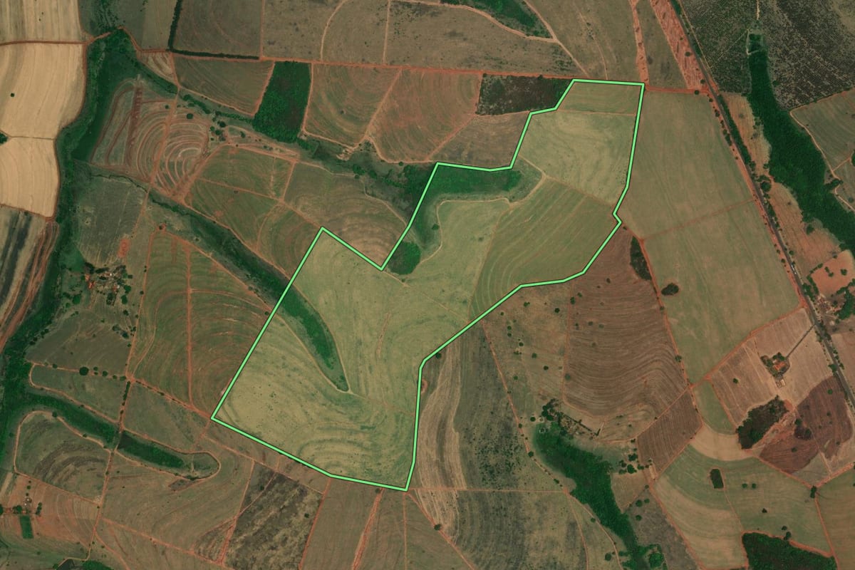 Imagem de satélite do imóvel rural em Paulo de Faria (SP), com o contorno declarado no CAR desenhado por cima.