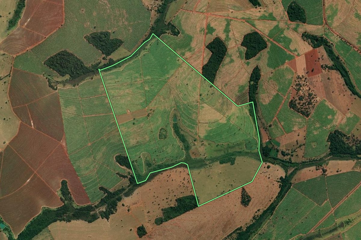 Imagem de satélite do imóvel rural em Paulo de Faria (SP), com o contorno declarado no CAR desenhado por cima.