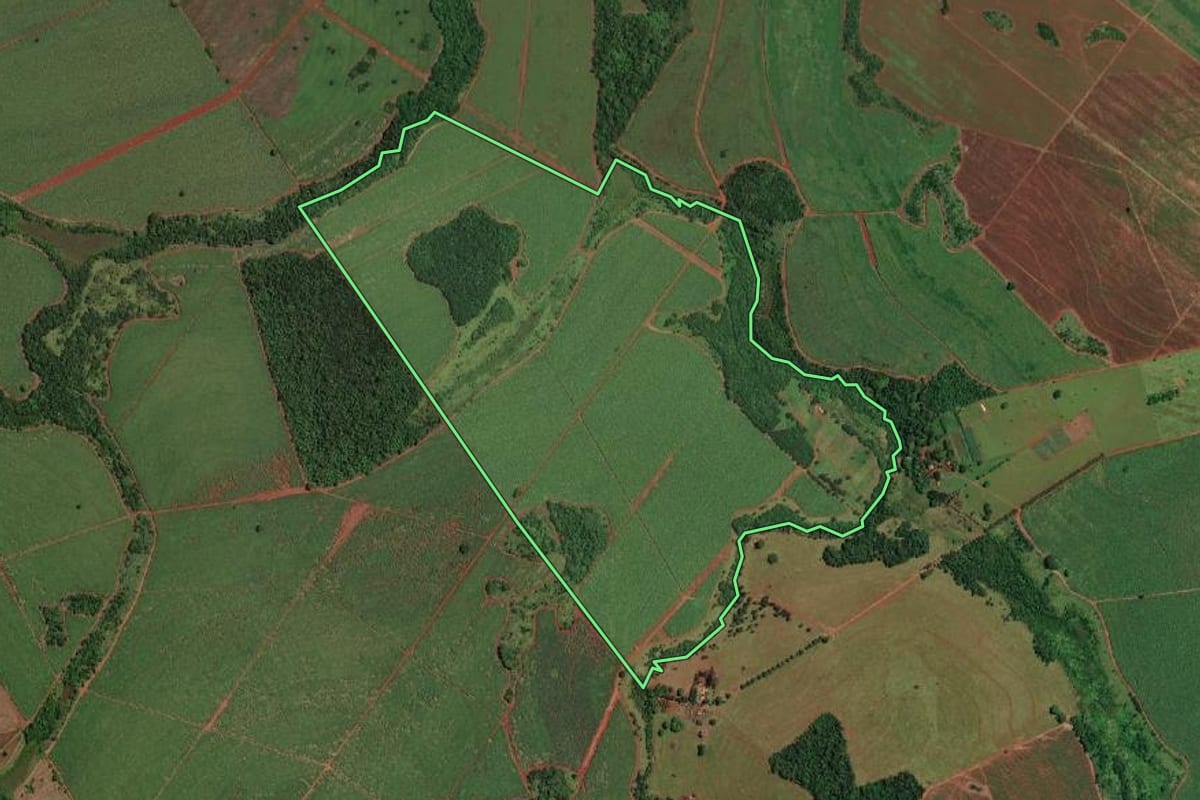 Imagem de satélite do imóvel rural em Paulo de Faria (SP), com o contorno declarado no CAR desenhado por cima.