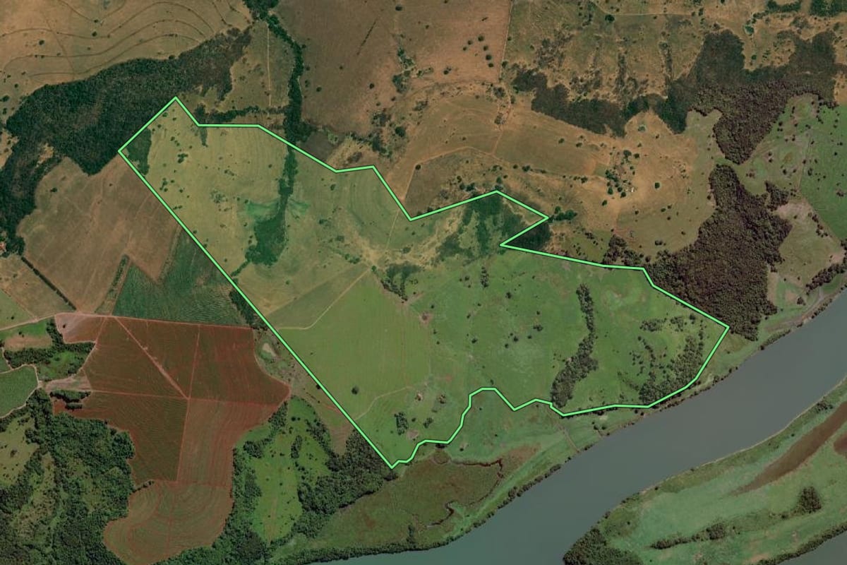 Imagem de satélite do imóvel rural em Paulo de Faria (SP), com o contorno declarado no CAR desenhado por cima.