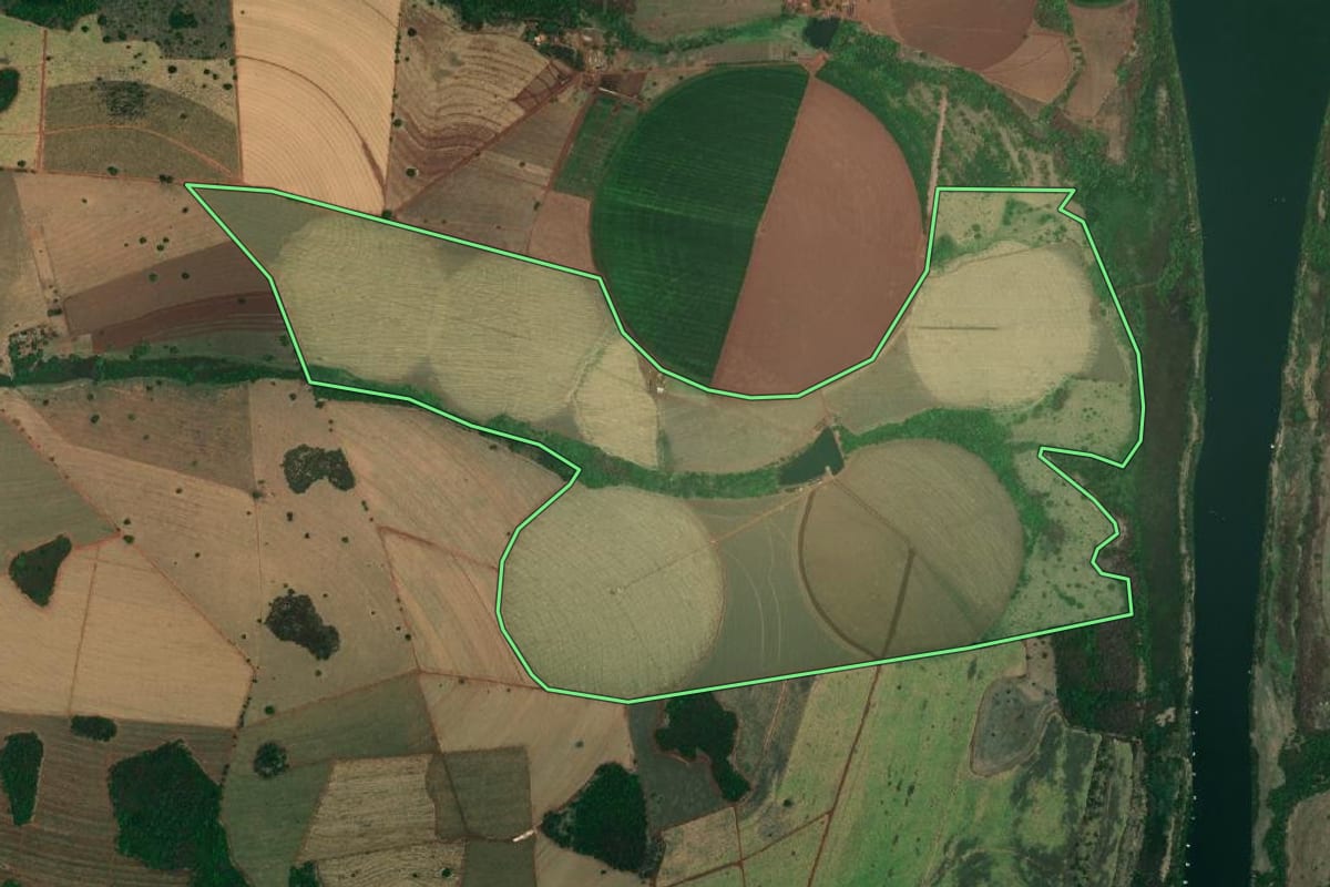 Imagem de satélite do imóvel rural em Paulo de Faria (SP), com o contorno declarado no CAR desenhado por cima.