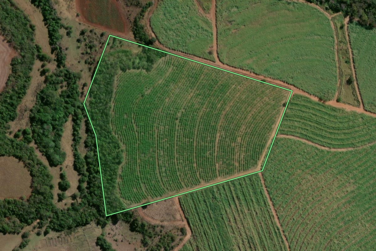 Imagem de satélite do imóvel rural em Paulo de Faria (SP), com o contorno declarado no CAR desenhado por cima.