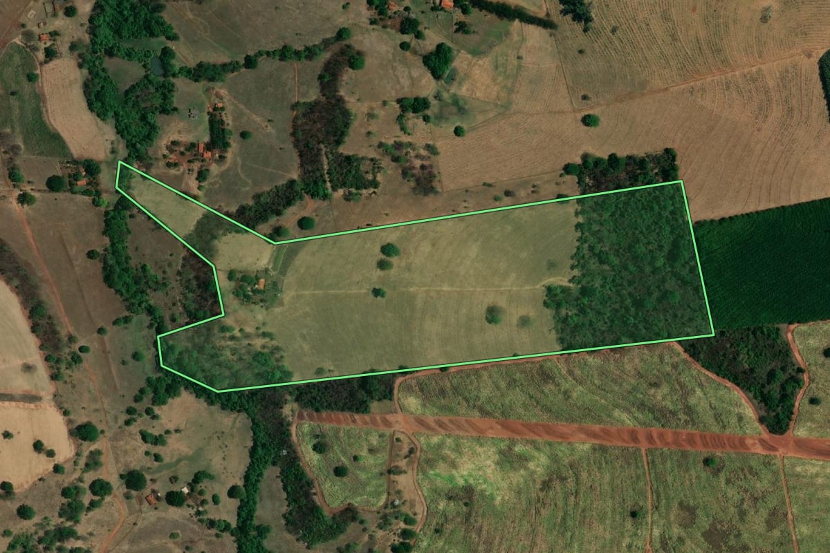 Imagem de satélite do imóvel rural em Paulo de Faria (SP), com o contorno declarado no CAR desenhado por cima.