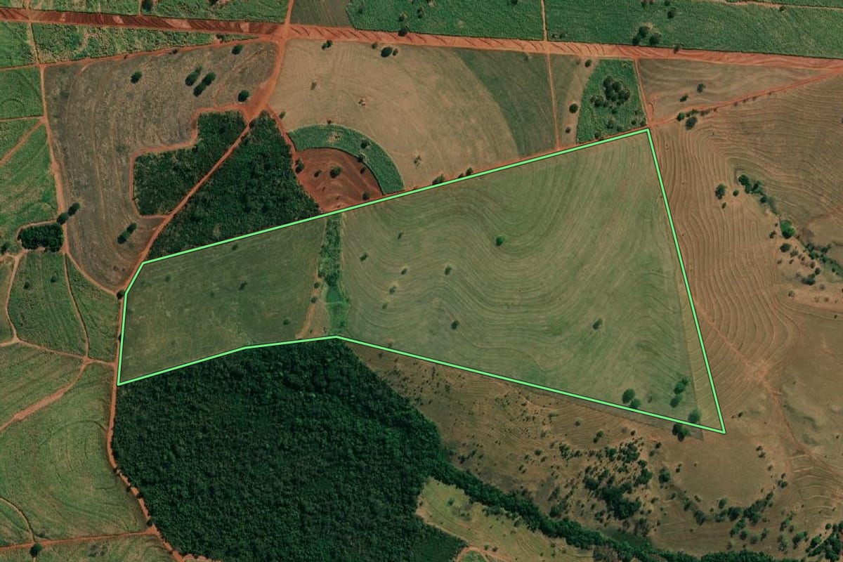 Imagem de satélite do imóvel rural em Paulo de Faria (SP), com o contorno declarado no CAR desenhado por cima.