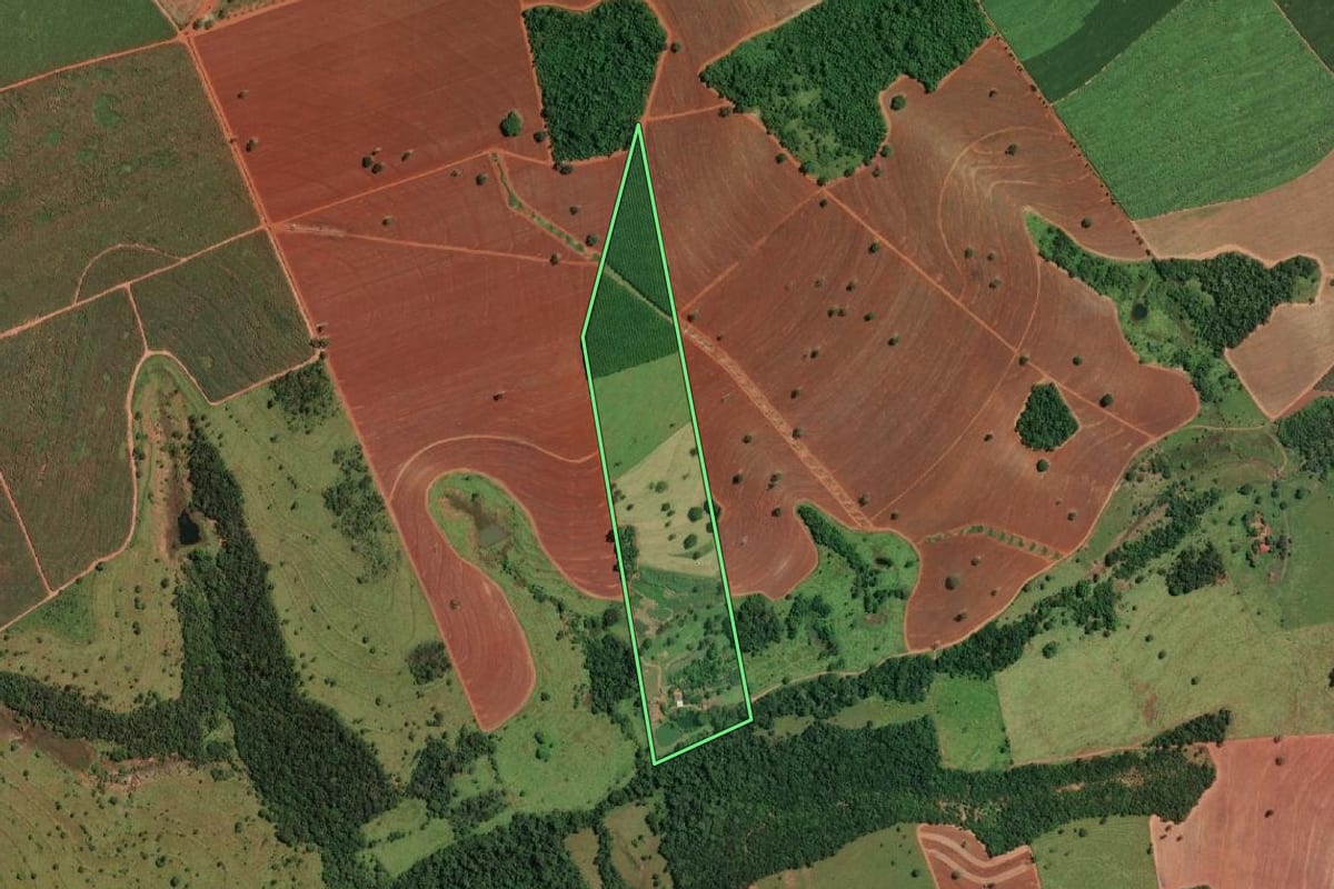 Imagem de satélite do imóvel rural em Paulo de Faria (SP), com o contorno declarado no CAR desenhado por cima.