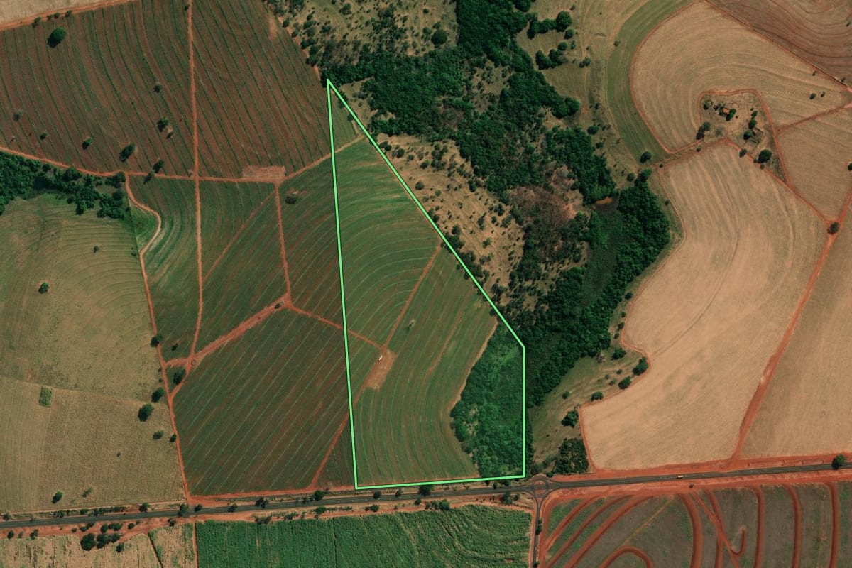 Imagem de satélite do imóvel rural em Paulo de Faria (SP), com o contorno declarado no CAR desenhado por cima.