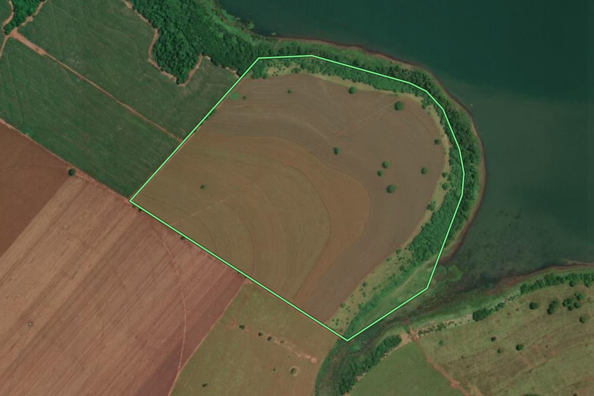 Imagem de satélite do imóvel rural em Paulo de Faria (SP), com o contorno declarado no CAR desenhado por cima.