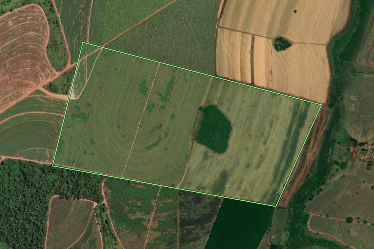 Imagem de satélite do imóvel rural em Paulo de Faria (SP), com o contorno declarado no CAR desenhado por cima.