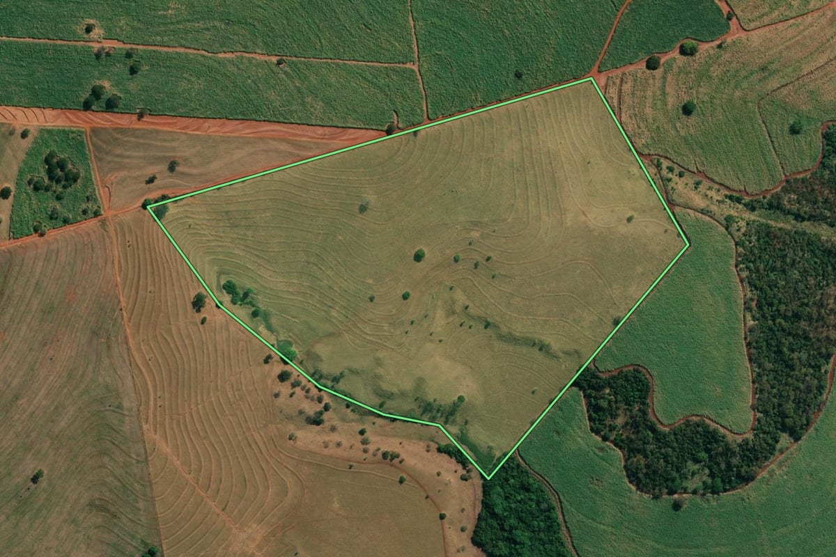 Imagem de satélite do imóvel rural em Paulo de Faria (SP), com o contorno declarado no CAR desenhado por cima.