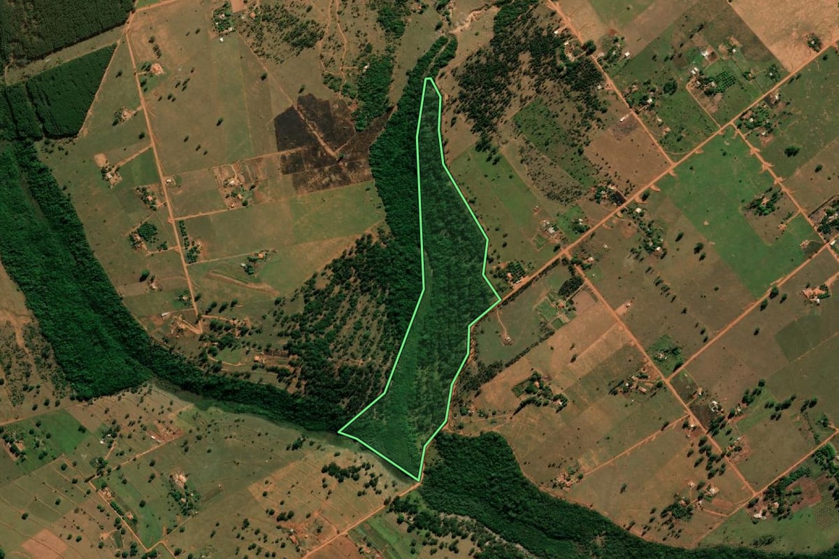 Imagem de satélite do imóvel rural em Pederneiras (SP), com o contorno declarado no CAR desenhado por cima.