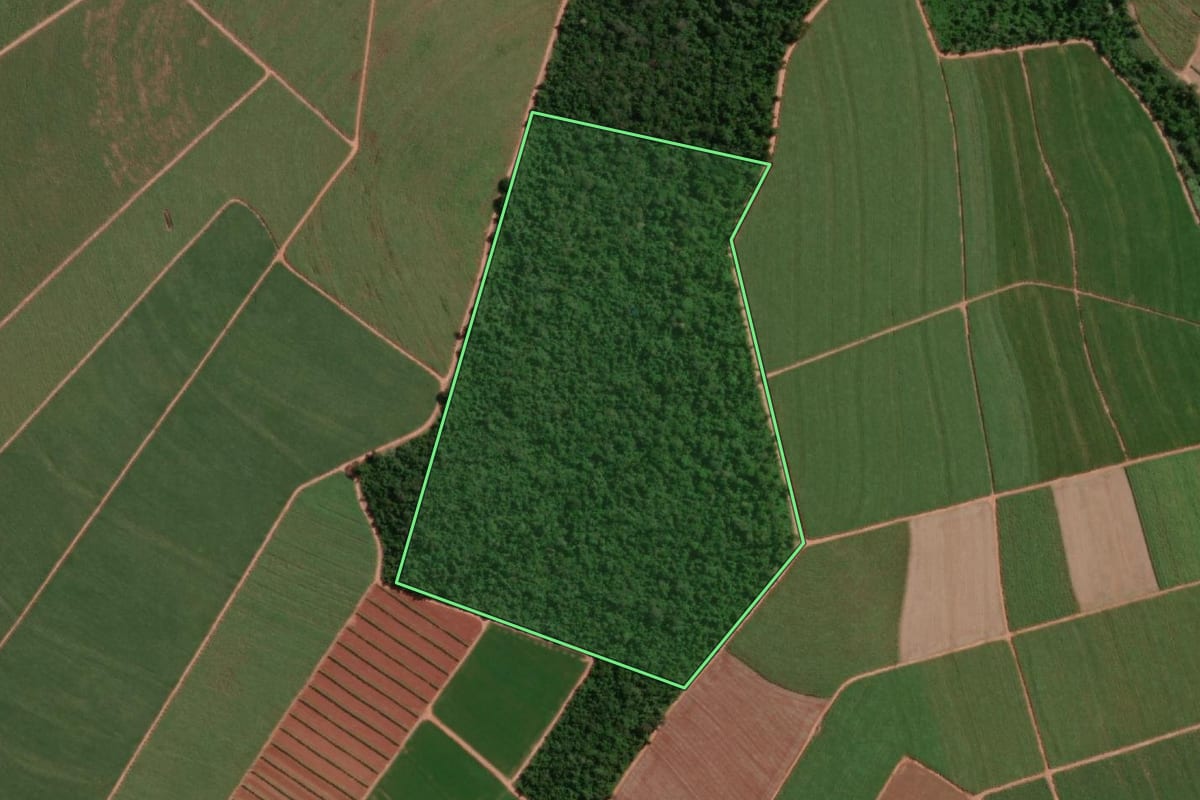 Imagem de satélite do imóvel rural em Pederneiras (SP), com o contorno declarado no CAR desenhado por cima.