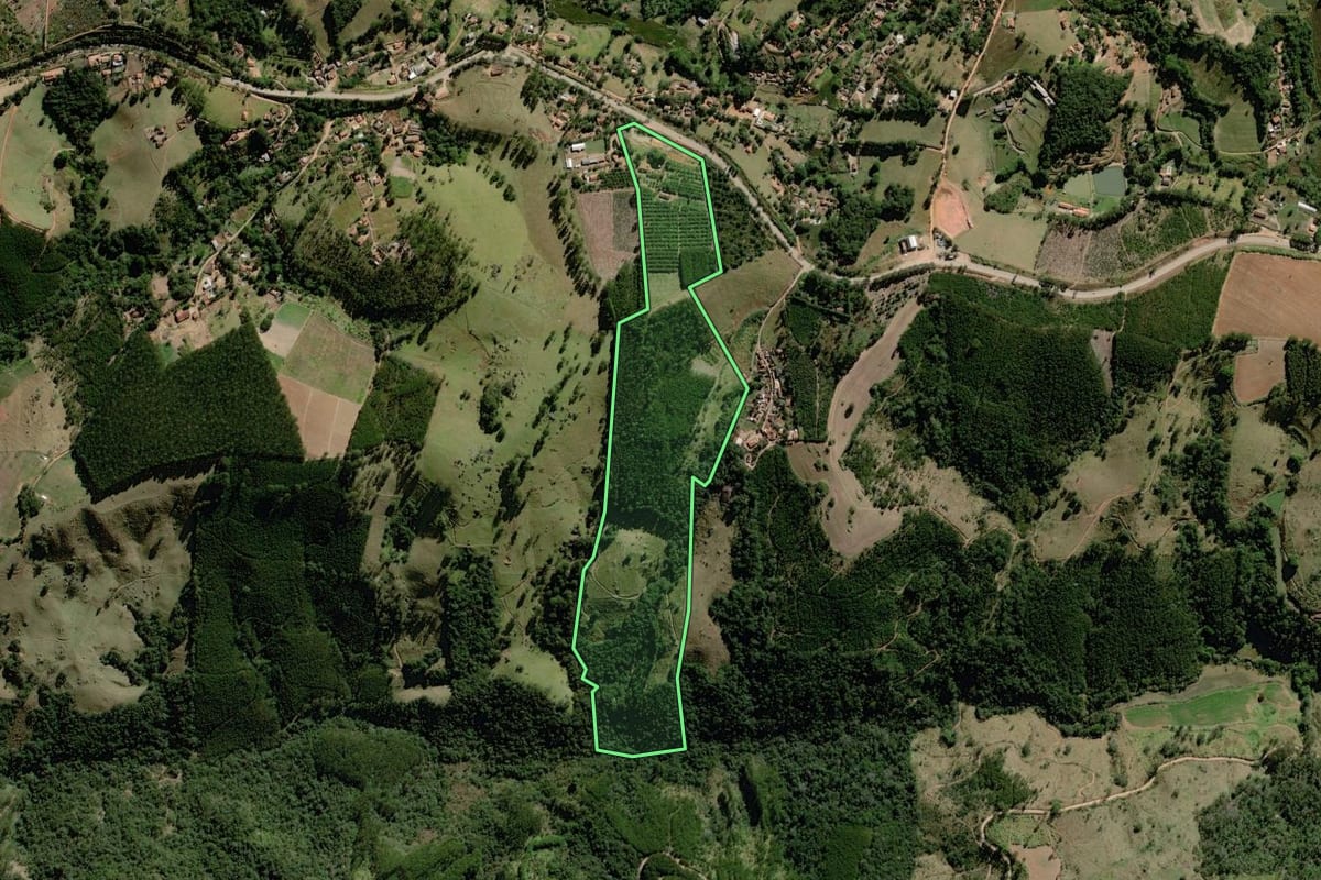 Imagem de satélite do imóvel rural em Pedra Bela (SP), com o contorno declarado no CAR desenhado por cima.