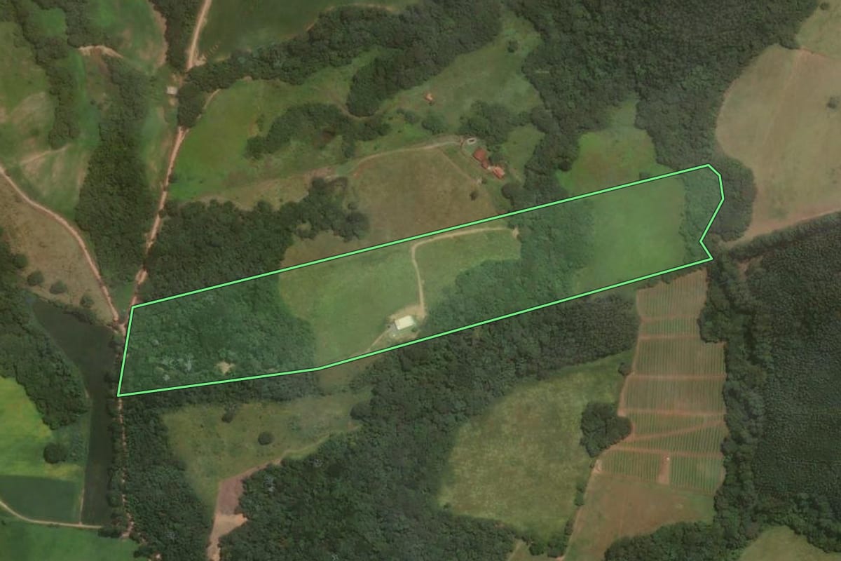 Imagem de satélite do imóvel rural em Pedra Bela (SP), com o contorno declarado no CAR desenhado por cima.