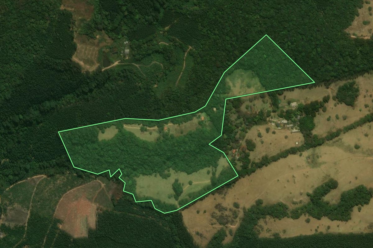 Imagem de satélite do imóvel rural em Pedra Bela (SP), com o contorno declarado no CAR desenhado por cima.