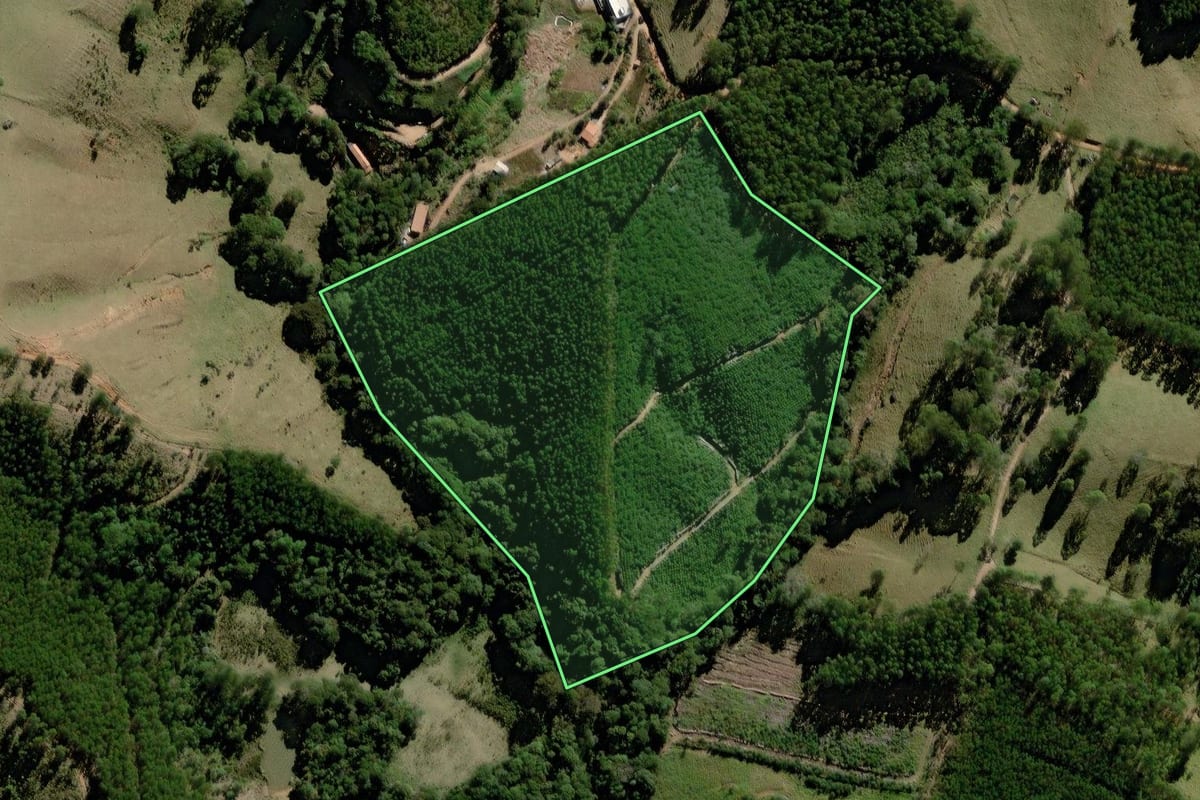 Imagem de satélite do imóvel rural em Pedra Bela (SP), com o contorno declarado no CAR desenhado por cima.