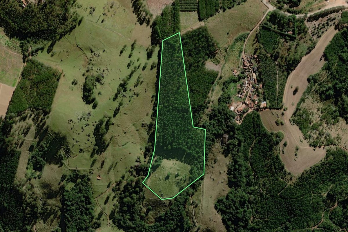 Imagem de satélite do imóvel rural em Pedra Bela (SP), com o contorno declarado no CAR desenhado por cima.