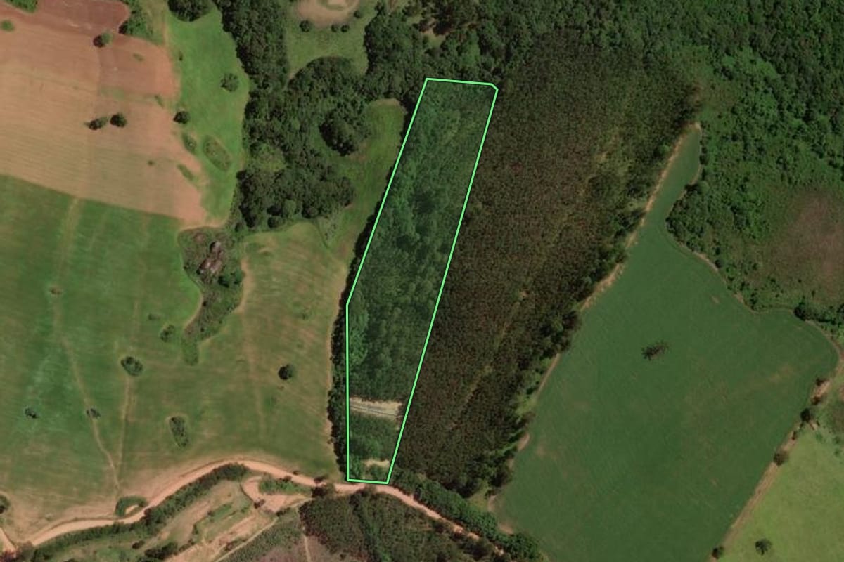 Imagem de satélite do imóvel rural em Pedra Bela (SP), com o contorno declarado no CAR desenhado por cima.