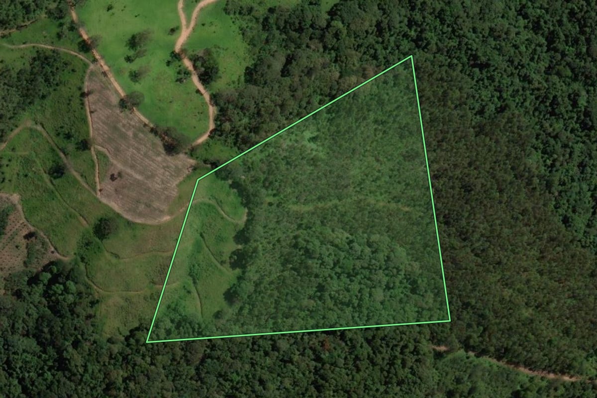 Imagem de satélite do imóvel rural em Pedra Bela (SP), com o contorno declarado no CAR desenhado por cima.