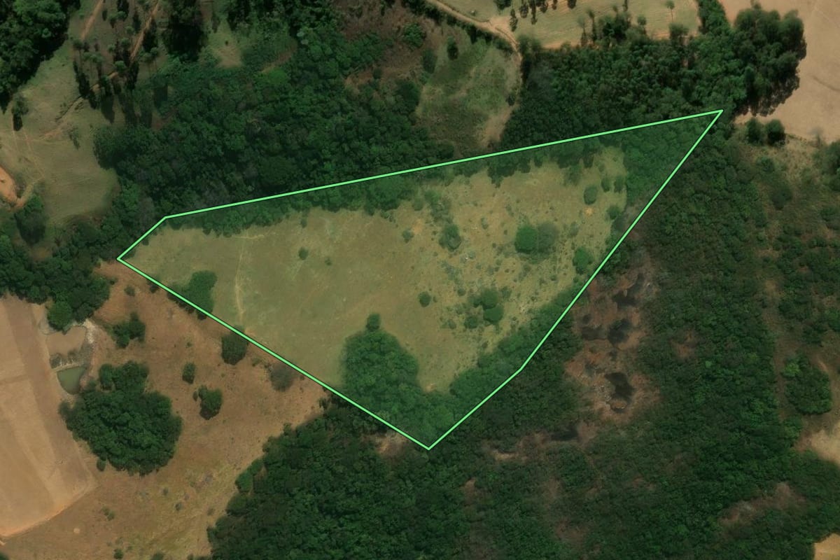 Imagem de satélite do imóvel rural em Pedra Bela (SP), com o contorno declarado no CAR desenhado por cima.
