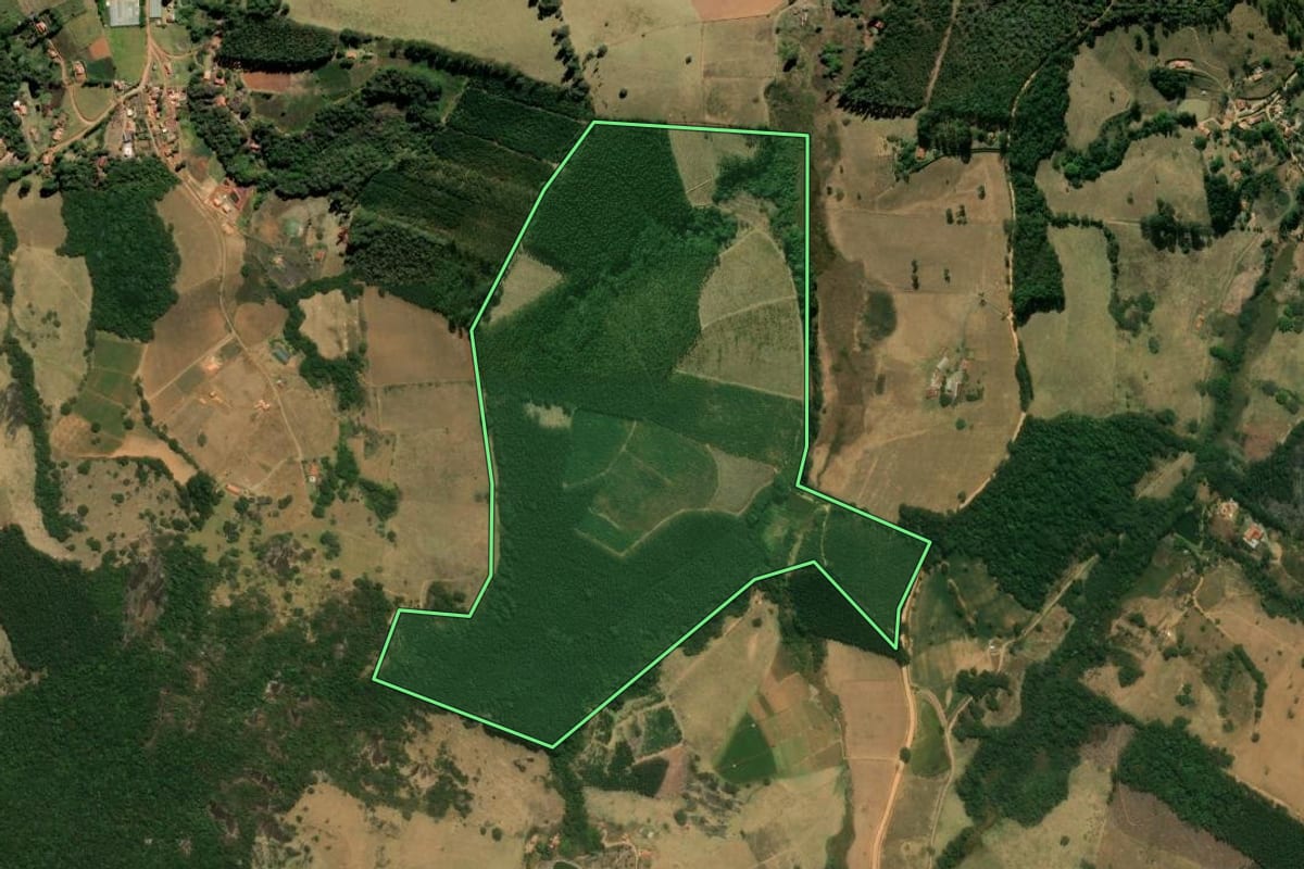 Imagem de satélite do imóvel rural em Pedra Bela (SP), com o contorno declarado no CAR desenhado por cima.
